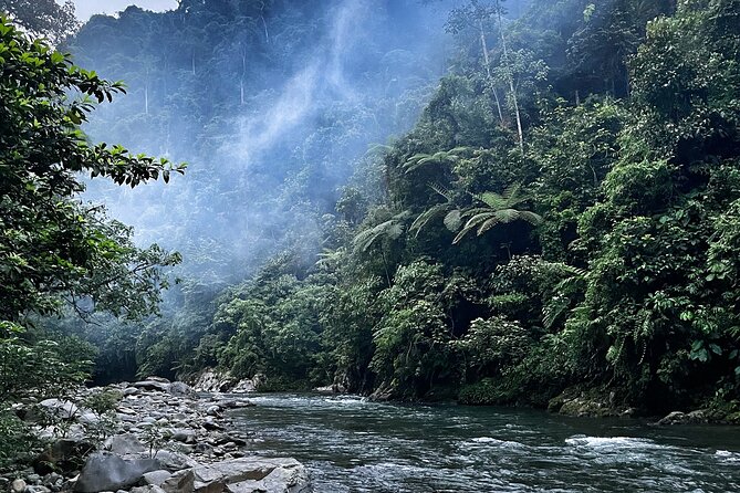 4 Day Jungle Adventure including 2 day trek - From Medan to Bukit Lawang: where the forest is the main character