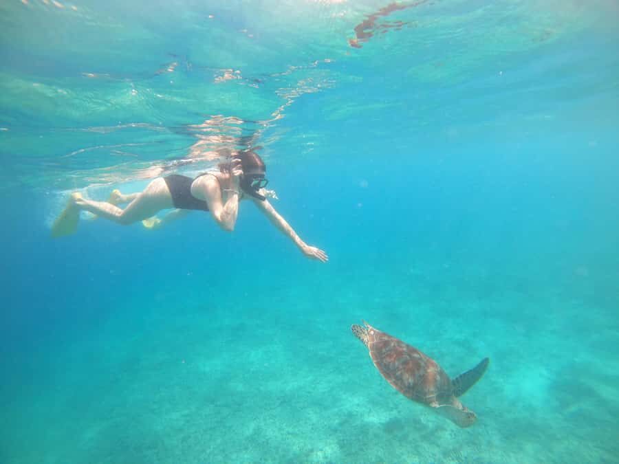 4 Hours Snorkeling 3 Gilis ( Trawangan,Meno, Gili air) - Key Points to Know Before You Go