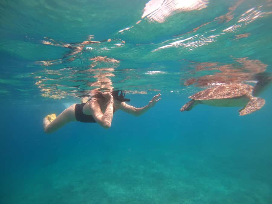 4 Hours Snorkeling 3 Gilis ( Trawangan,Meno, Gili air) - Meno and Air Land Time: Beach Break Plus a Turtle Sanctuary Walk