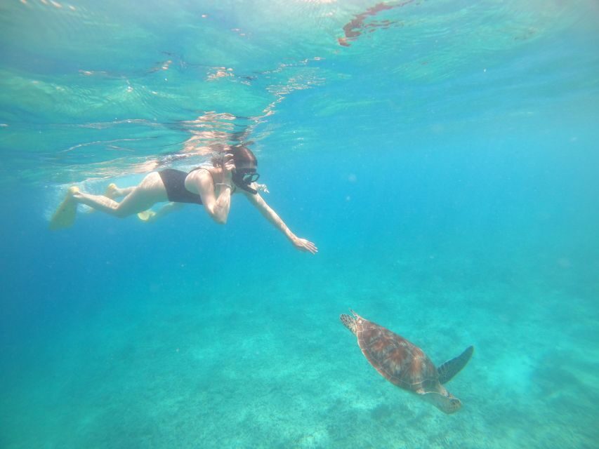 4 Hours Snorkeling 3 Gilis ( Trawangan,Meno, Gili air) - What You Should Bring (and What to Leave Behind)