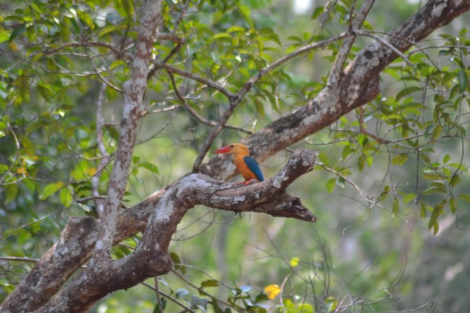 5 Days Truly Orangutan Wildlife Jungle Trail - Day 5 on Arut Riverside: market stops, Yellow Sultan Palace, and Kumai half-city