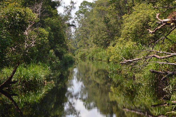 5 Days Truly Orangutan Wildlife Jungle Trail - The boat team is a big deal here, and it shows