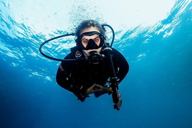5 Fun Dives in Nusa Lembongan (for certified divers) - Swim with a Mola Mola - Mangrove Point on Lembongan: a calmer change of pace