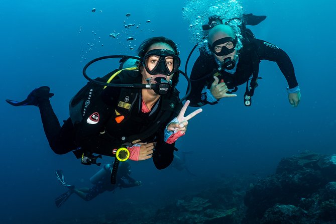5 Fun Dives in Pemuteran (for certified divers) - Exploration in Menjangan Park - Price and value: what you pay for at $180.56