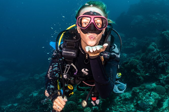 5 Fun Dives in Pemuteran (for certified divers) - Exploration in Menjangan Park - Pemuteran base and the split between coast and island