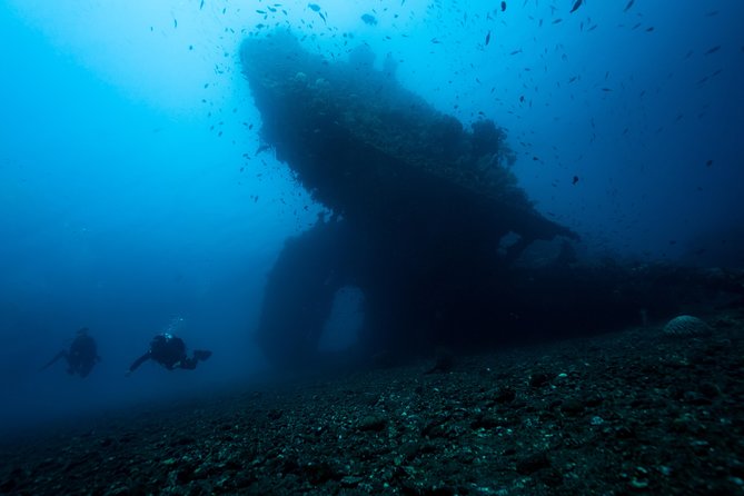 5 Fun Dives in Tulamben (for certified divers) - Discover famous diving sites - A 2-day, certified-friendly underwater program that actually teaches