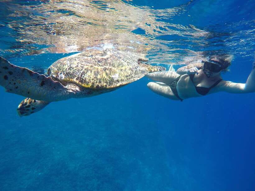5 Secret Gili Boat Trip & Snorkeling in Southwest Of Lombok - Why This Secret Gili Route Works From Lombok