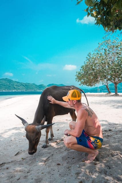 5 Secret Gili Boat Trip & Snorkeling in Southwest Of Lombok - Price and Inclusions: What $83 Really Buys You