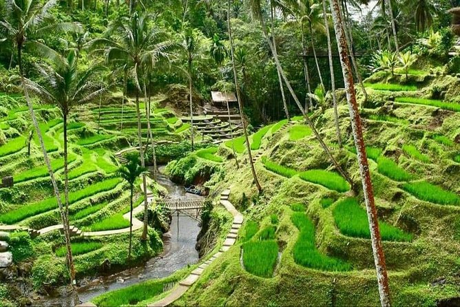 6 Days Best Of Bali And Nusa Penida All Inclusive Private Tour - Price and value: how $52.18 lines up with what you get
