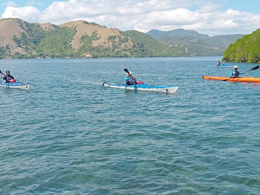 6 Hours Fun Day Kayaking - Pulau Bidadari Snorkeling Stop: Marine Life Encounters (and One Real-World Note)