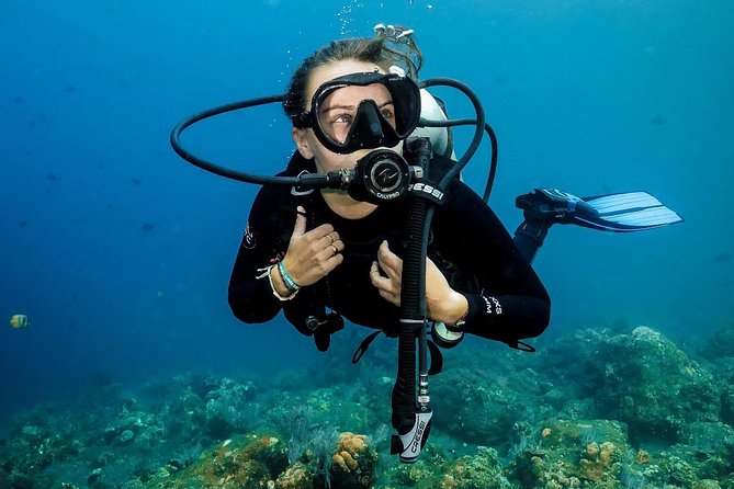 7 Fun Dives in Nusa Lembongan (for certified divers) - Premium Value Package - Crystal Bay: a confident first stop with plenty of marine life