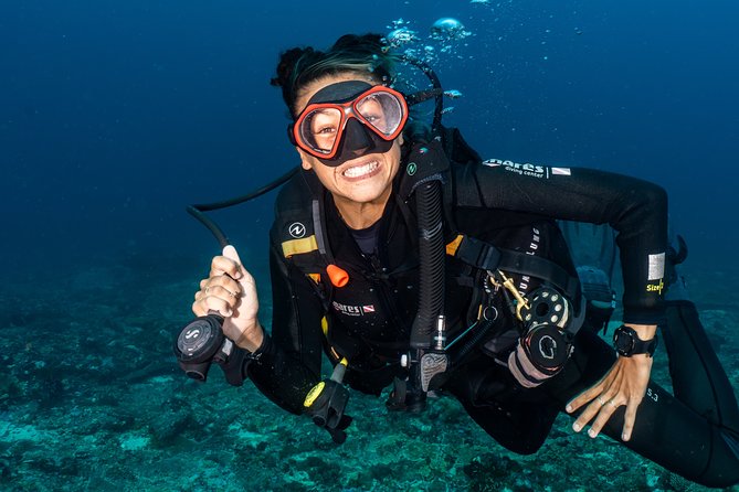 7 Fun Dives in Pemuteran (for certified divers) - Exploration in Menjangan Park - Price and park fees: is $234.25 a good deal?