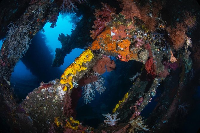 7 Fun Dives in Tulamben (for certified divers) - Premium Value Package - Included gear and facilities: helpful, but check it like you mean it