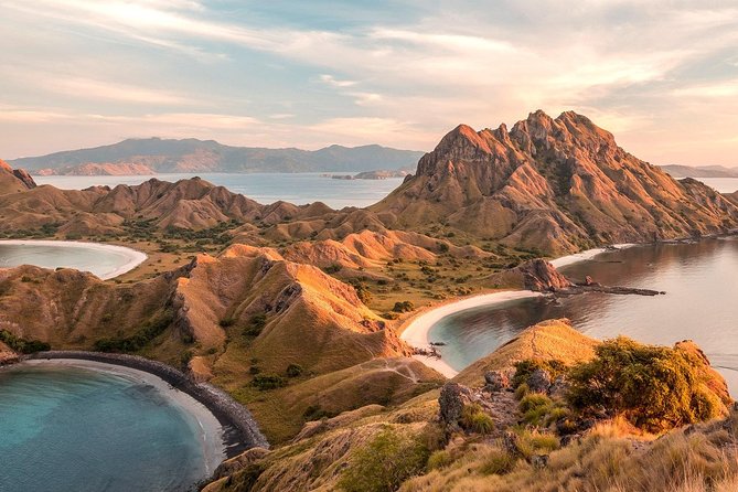 A Day to Komodo Island - A speedboat day in Komodo National Park: what you get for your money