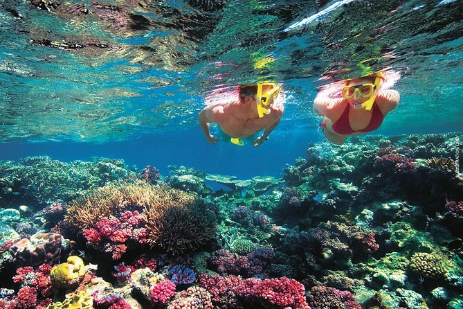 A Day to Komodo Island - Stop 3: Pink Beach swim and the science behind the color