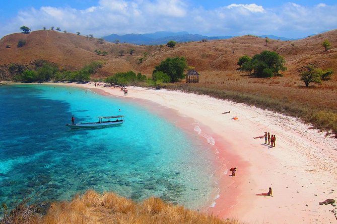 A Day to Komodo Island - Stop 4: Manta Point at Taka Makassar (snorkeling with cleanup service)