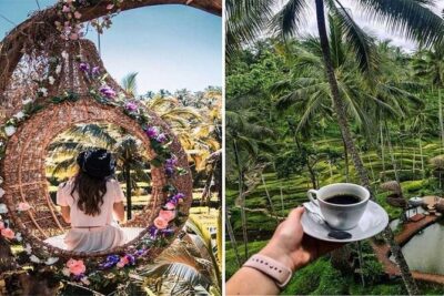 A Day Tour in Ubud - Waterfall, Temples & Swing - Hotel Pickup and Air-Conditioned Transport: The Real Comfort Upgrade