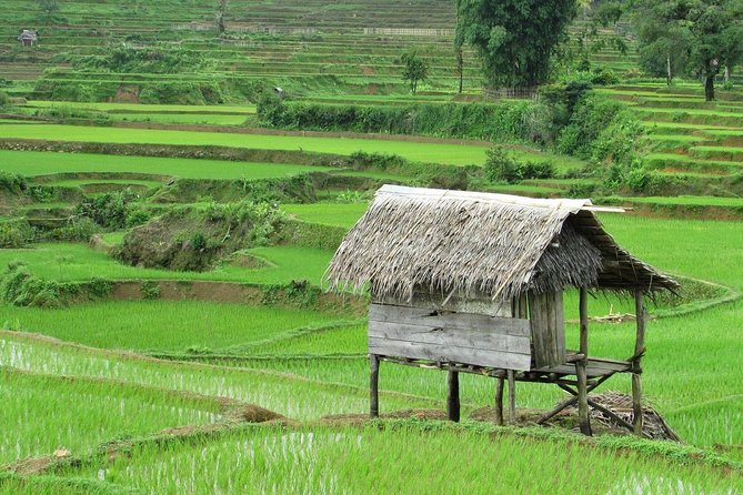 Active Volcano, Rice Field, Hot Spring, Fruit market, Tea Plantation with Lunch - Lembang lunch and the coffee production center that can be optional for your budget