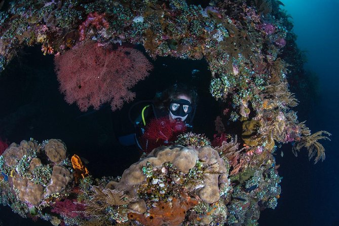 Advanced Open Water Course - Advanced Certification in Tulamben - Entering The Advanced Open Water Program: What You’re Really Buying