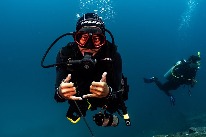 Advanced Open Water Course in Pemuteran - Certification in Bali (Menjangan park) - Who this Advanced Open Water course is really for