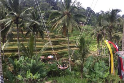 Adventures Tour : Bali Hidden Canyon Trekking - Beji Guwang - Hotel pickup, mobile ticket, and a small-group pace that actually works