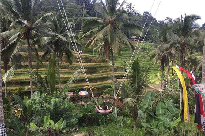 Adventures Tour : Bali Hidden Canyon Trekking - Beji Guwang - Hotel pickup, mobile ticket, and a small-group pace that actually works