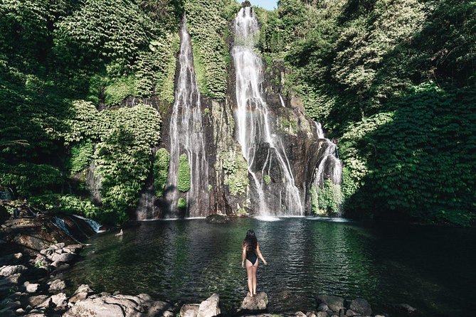 Aling-aling Waterfall tours - Private vehicle + pickup: why it matters on a waterfall day