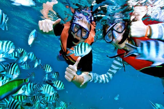 (ALL- IN) Bali Snorkeling Blue Lagoon And Tanjung Jepun - Key Highlights You’ll Care About