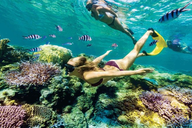 (ALL- IN) Bali Snorkeling Blue Lagoon And Tanjung Jepun - From Ubud Pickup to the First Snorkel: The 8:30 a.m. Game Plan