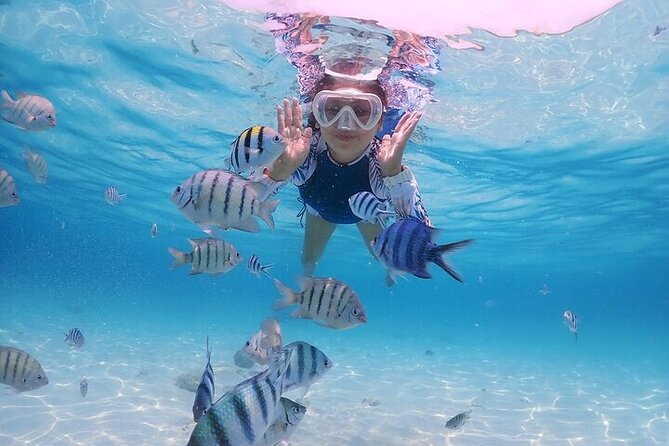 (ALL- IN) Bali Snorkeling Blue Lagoon with Waterfall Visit - Price and Value: Is $45 per Person Worth It?
