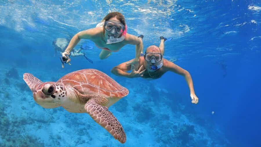 All Include Snorkeling at Menjangan Island - Key things I’d circle before you book