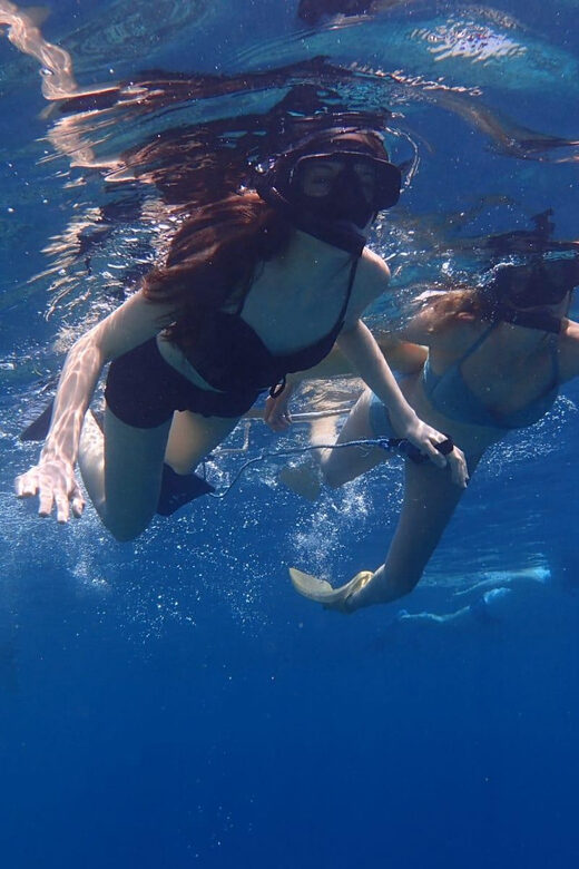 All Include Snorkeling at Menjangan Island - Boat time, comfort, and the one safety detail worth checking