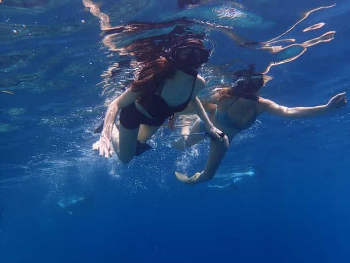 All Include Snorkeling Menjangan Island - Is it worth it versus other Bali snorkeling days?