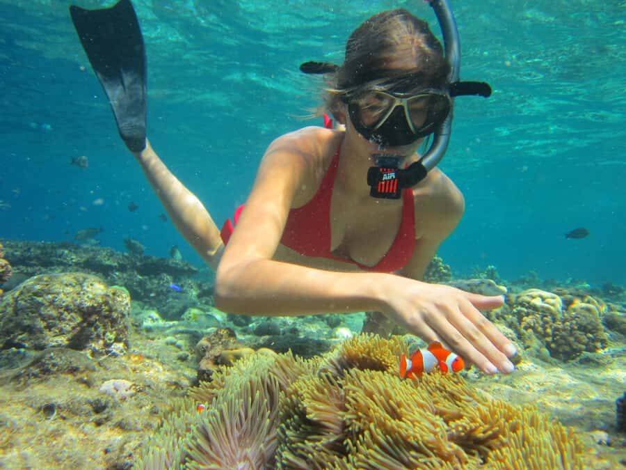 All Include Snorkeling Menjangan Island - Price and value: what you truly get for $64 per person