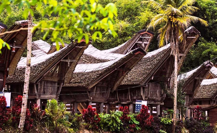 All Inclusive 3-Day Toraja Highland Tour from Makassar - Key highlights worth your attention