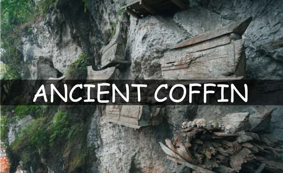 All Inclusive 3-Day Toraja Highland Tour from Makassar - All-inclusive value: what you get for $160 (and what to verify)