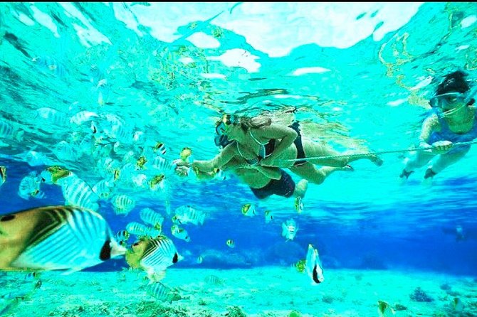 All Inclusive : Bali Blue Lagoon Snorkeling, Lunch, and Transport - Transport from Ubud: the road time you should expect
