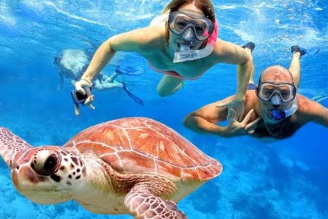 All Inclusive Bali Blue Lagoon Snorkeling with Lunch and Transport - Padang Bai Arrival: Why Timing Here Matters for Snorkeling