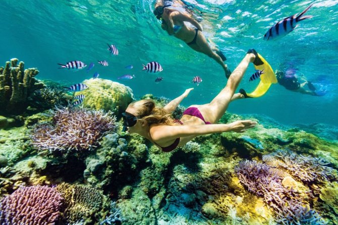 All Inclusive Bali Blue Lagoon Snorkeling with Lunch and Transport - Tanjung Jepun Snorkeling: Shallow Water and Fish Close By