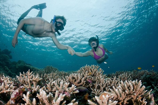 All Inclusive Bali Scuba Diving at Tulamben with Lunch -Transport - Key highlights you’ll feel right away