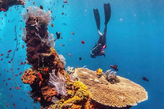 All Inclusive Bali Scuba Diving at Tulamben with Lunch -Transport - Hotel Pickup to Padang Bay: The Ride That Sets the Tone