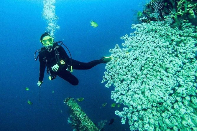 All Inclusive Bali Scuba Diving at Tulamben with Lunch -Transport - Lunch Between Activities: Included Food That Actually Matters