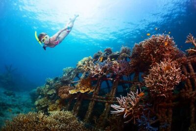 All-Inclusive Bali Snorkeling at Blue Lagoon Beach & ATV Ride - Optional Ubud Stop: Monkey Forest and Ubud Royal Palace Time