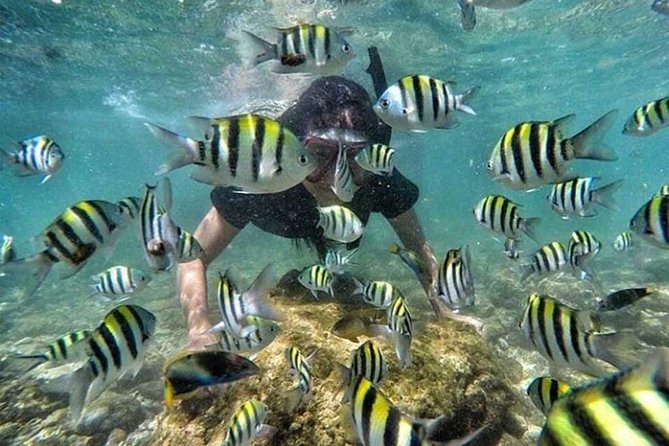 All Inclusive Bali Snorkeling Blue Lagoon tour experience - Bias Tugel Beach at 15:00: a soft landing after the water