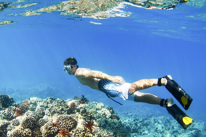 All Inclusive Blue Lagoon Snorkeling with Bali ATV Quad Adventure - Blue Lagoon Snorkeling: Clear Water, Coral, Fish, and a Turtle Chance