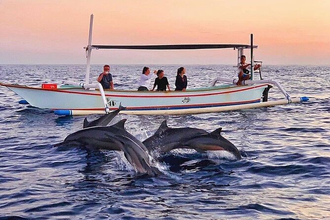 All inclusive Lovina Dolphins Sunrise tour, Waterfall & Temple - Swimming and snorkeling near dolphins: fun, but follow the pace