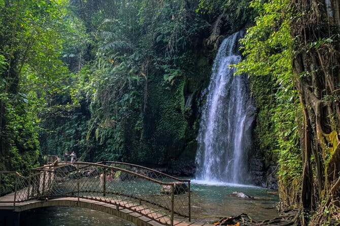 All Inclusive of Ubud Top Attraction - How This 8-Hour Ubud Plan Stays Efficient
