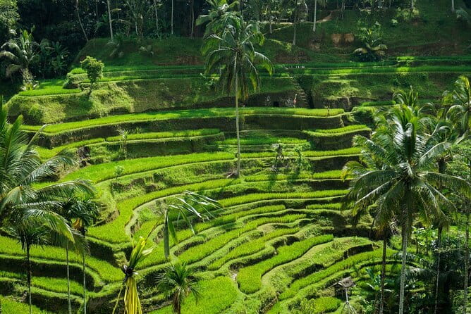 All Inclusive of Ubud Top Attraction - Ubud Royal Palace and the Art Market: culture without the maze