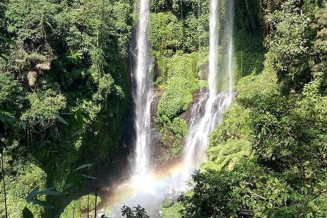 All Inclusive Sekumpul Waterfall Trekking , Handara Gate & Temple - Who should book this tour, and who might want a different plan