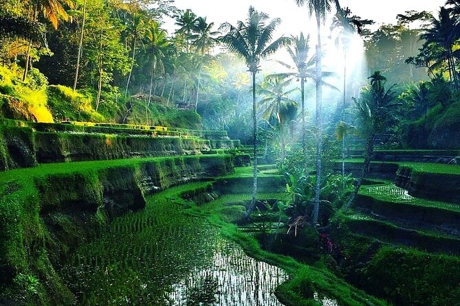 [All Inclusive] The Soul of Bali: Temples, Art & Traditions Tour - Suwat Waterfall: An Easy Walk to a Quieter Moment